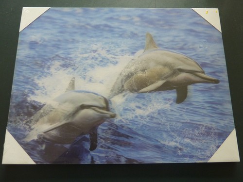 Picture leaping dolphins - leaping,
