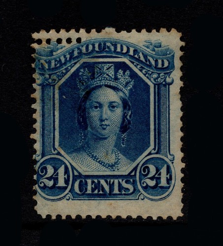 Newfoundland 1865 24c on - newfoundland,