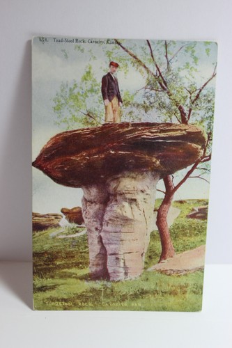 Toad stool rock carneiro - stool, rock,