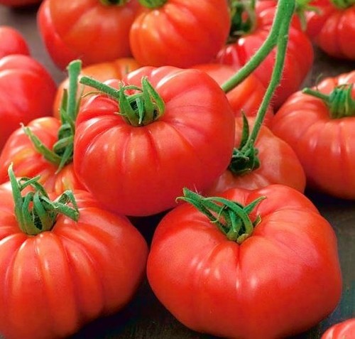 Premium beef tomato seeds - beef, 20