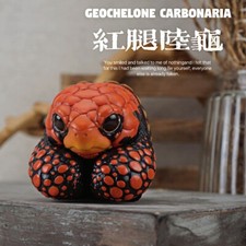 Bowuzhi Red—footed Tortoise