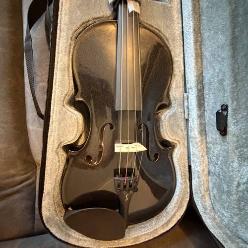 Stentor harlequin violin - , in