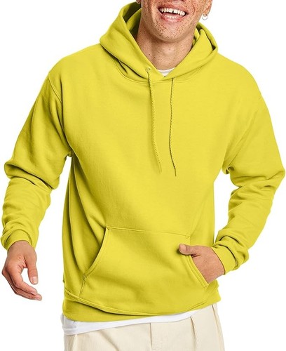Hanes men ecosmart hoodie - hanes,