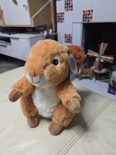 Your Planet Red Squirrel with