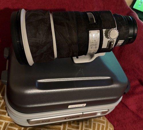Canon 300mm is mark ii - f2.8,
