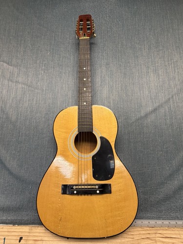 Vintage harmony acoustic
