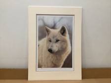 Steven Townsend - Study Of A