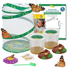 Insect Lore Butterfly Garden
