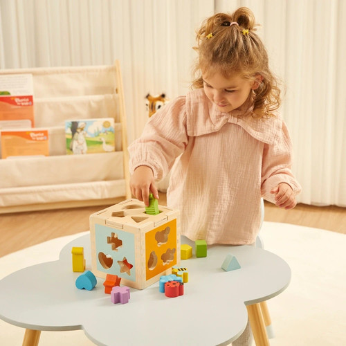Wooden shape sorting - sorting, cube