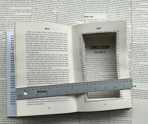 Real book safe secret stash - safe,