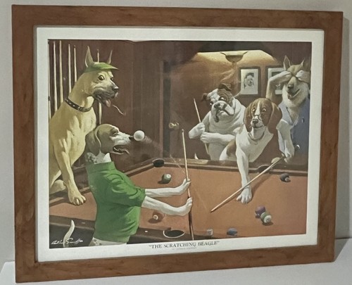 Sarnoff the scratching - sarnoff,