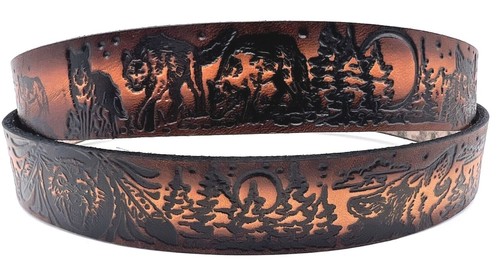 Wolf western feathers animal - wolf,