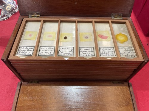 Victorian fitted box - victorian, 12