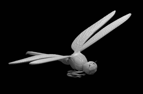 Giant dragonfly for - giant,