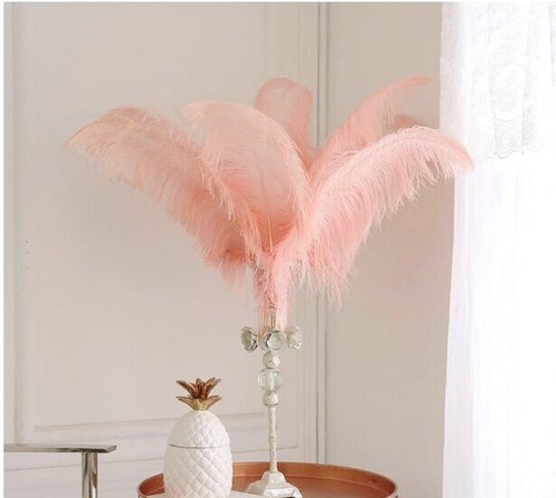 Peach blush pink - peach,