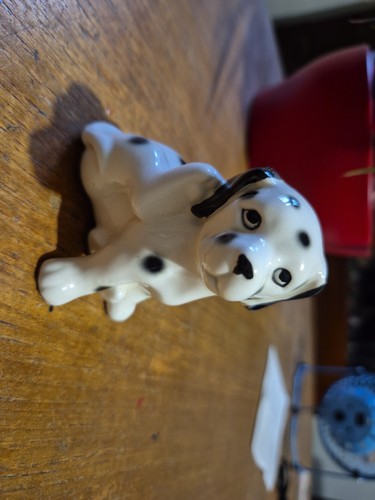Dalmation puppy - dalmation,