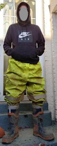 Mens leo vis - mens,