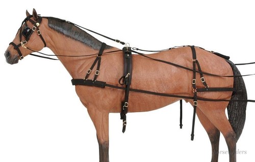 Horse driving harness - -, samson