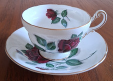 Royal Standard RED VELVET Rose