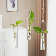 Hydroponic pot Scandinavian-Style Glass