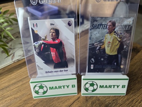 Edwin van der sar shatterpoint - edwin,