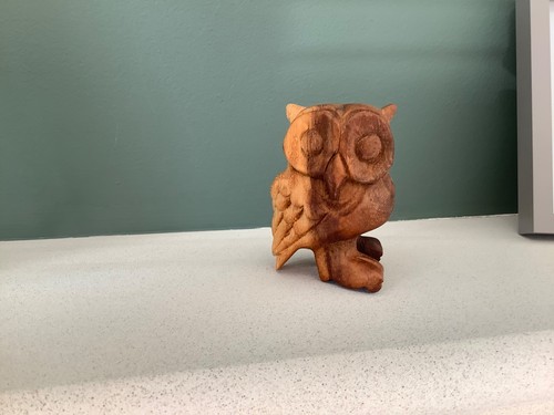 Hooting owl guiro - pp,