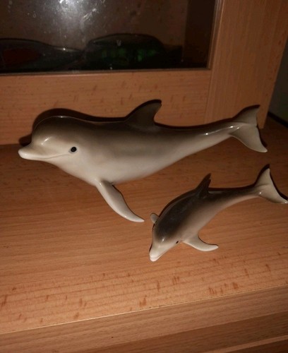 Dolphins see all pictures 2 - all,