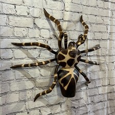 50cm x 45cm Wooden Spider
