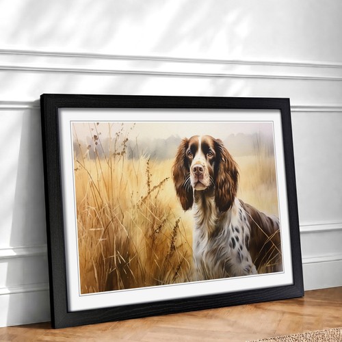English springer spaniel - english,