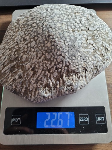Huge 2kg piece - huge,