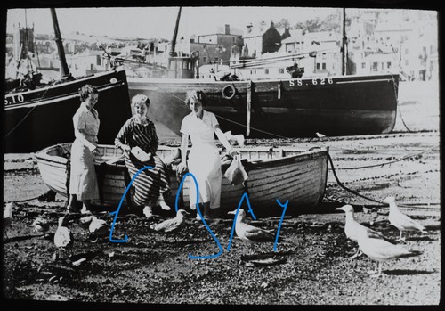 Feeding gulls ives cornwall - st,