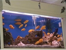 4ft x 2ft Fishtank on Large Handmade Wooden Cabinet