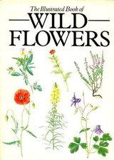 Illustrated Book of Wild Flowers By  Zdenka Prodhajska, Kvetoslav Hisek, Pamela