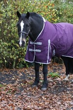 No Fill Lightweight Horse Rug