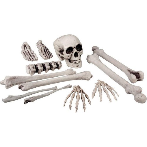 Boland skull bones - &,