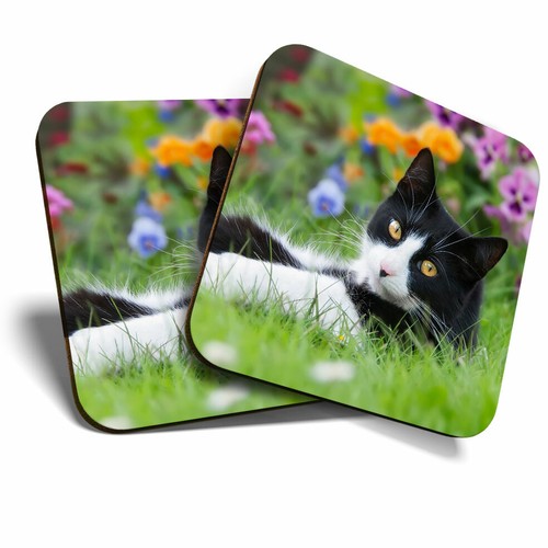 Coasters black white - 2, x