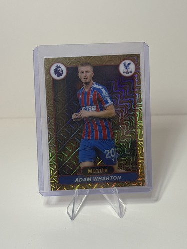Topps premier league - premier, merlin
