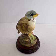 VTG Cottagecore Goldfinch Baby