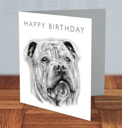 Staffordshire bull terrier - bull,