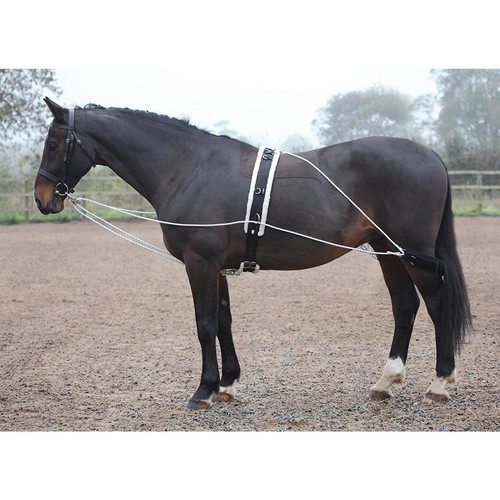 Shires lunging aid - -, size