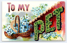 c1909 To My Pet Postcard