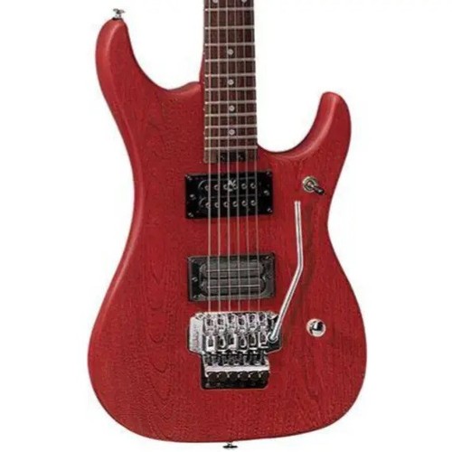 Washburn nuno bettencourt - nuno,