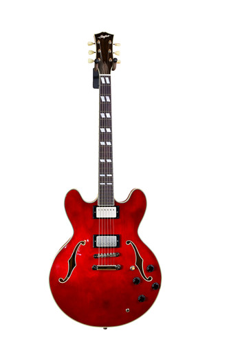 Stanford guitars thinline - guitars,