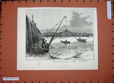 Old Antique Print 1888