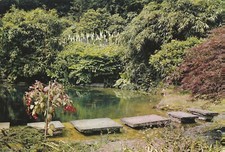 15110 - Postcard showing the