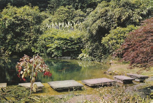 15110 postcard showing the - 15110,