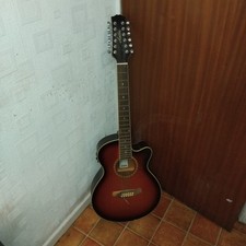 Ashton 12 String Electro