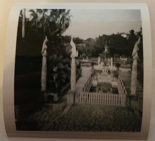 Vintage found original photo - found,