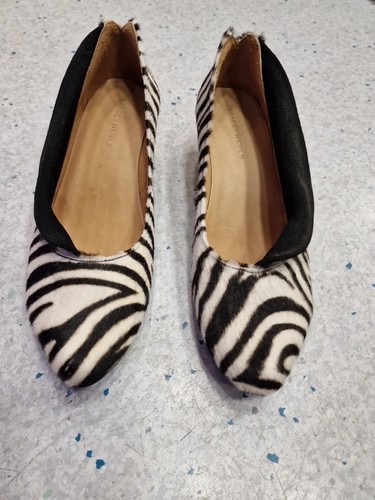 Tracey neuls zebra - neuls,
