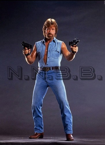 Chuck norris matt hunter - matt,
